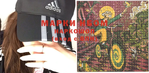 ешки Аркадак