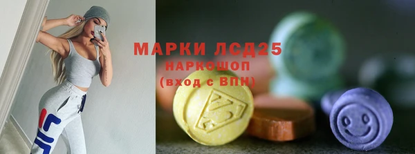 ешки Аркадак