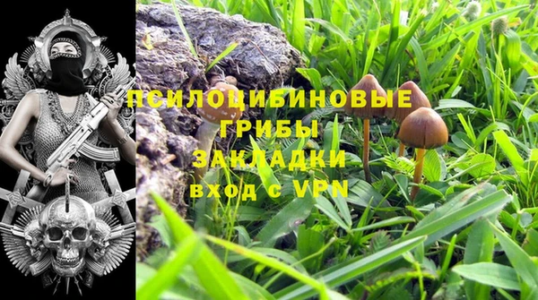 ешки Аркадак