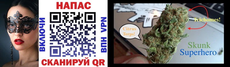 наркотики  Снежногорск  Марихуана LSD WEED 